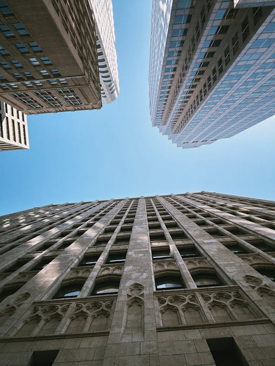 Multi-state contractor licensing